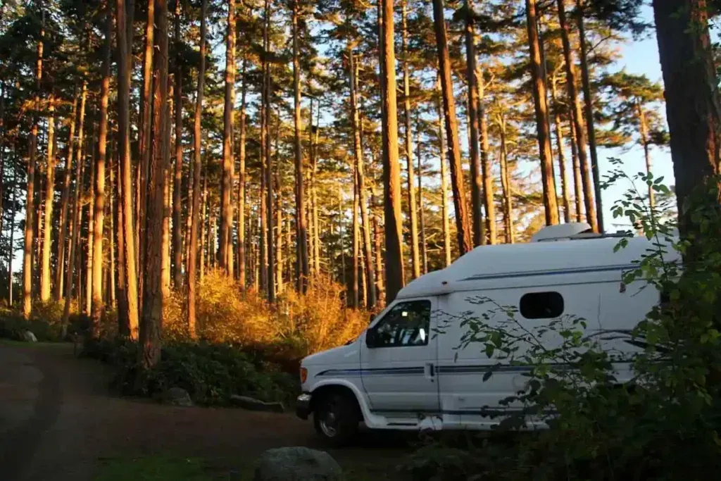 A white van is parked in the middle of a forest.