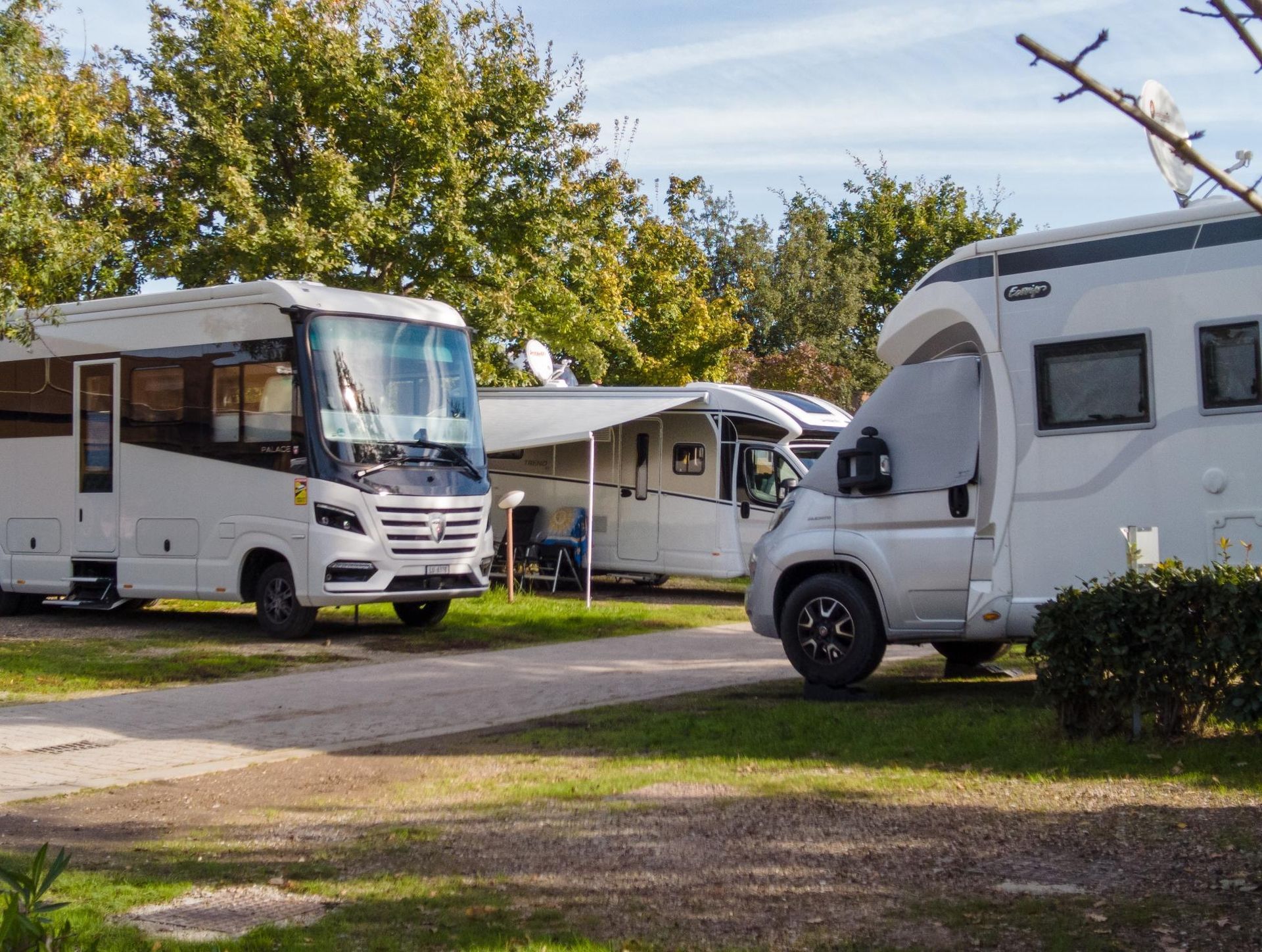 White RVs parked at a campground with a grassy area and trees.