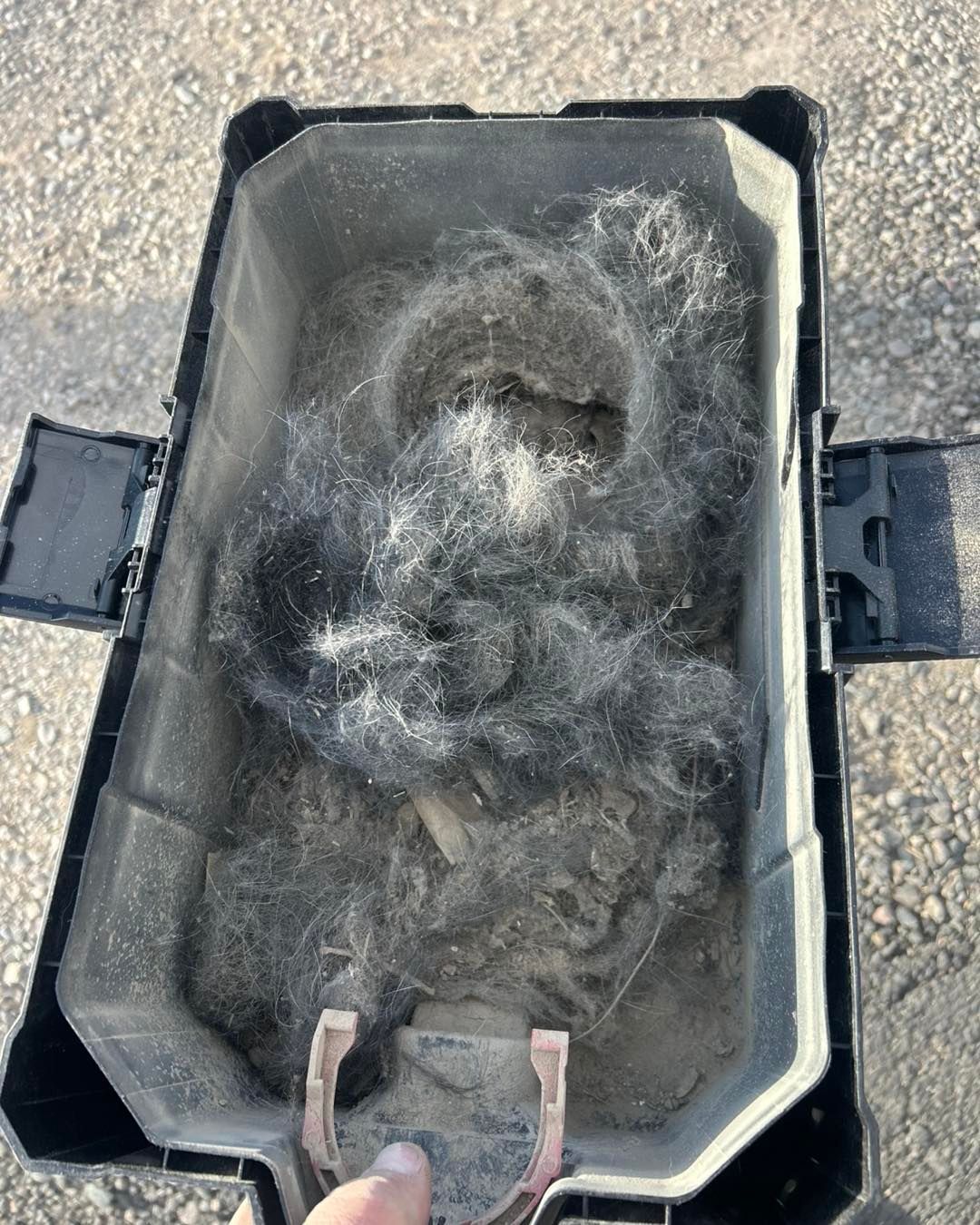 A person is holding a vacuum cleaner with a lot of dust in it.