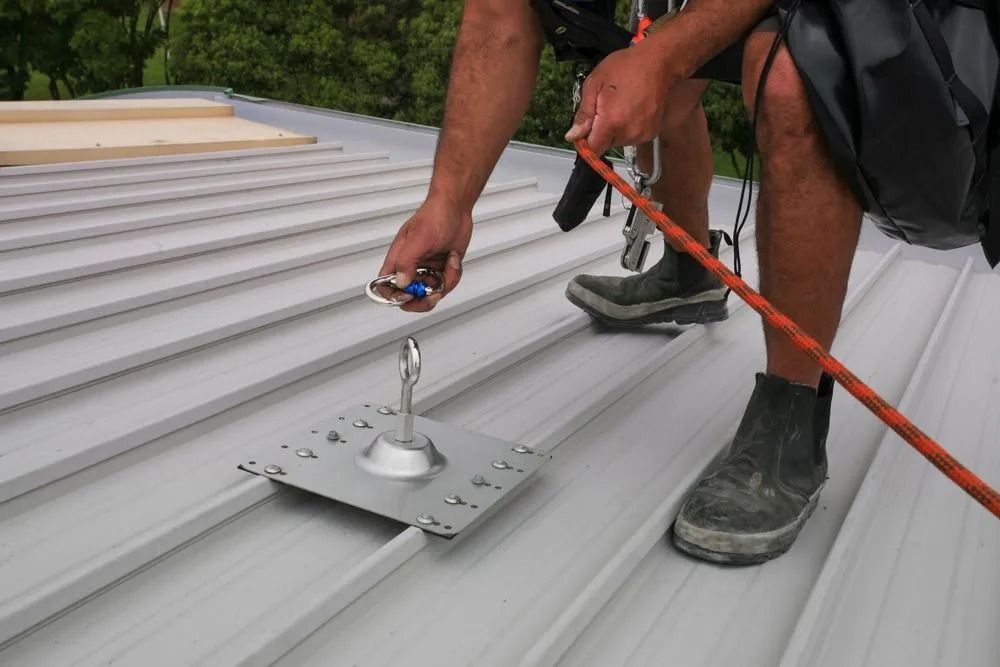 Worker on a Metal Roof Attaching a Carabiner to a Roof Anchor with Safety Harness — MJD Roofing Sunshine Coast in Cooroy, QLD