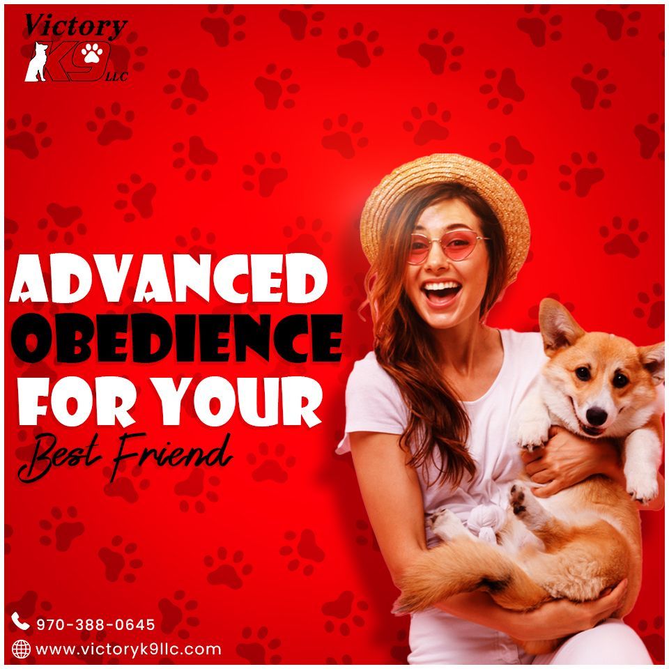 A woman is holding a dog in her arms.