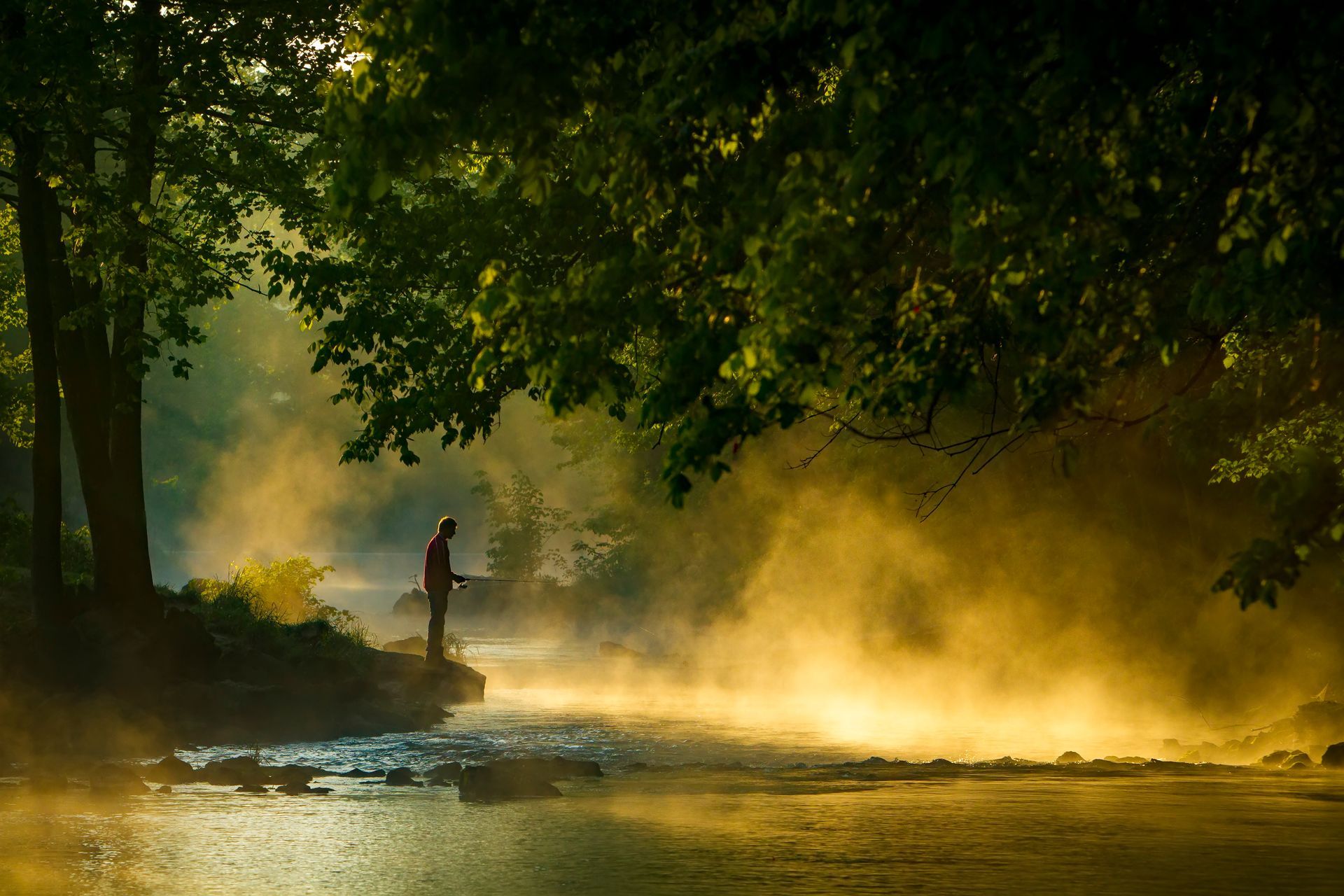 A man is fishing in a river in the woods at sunrise.
