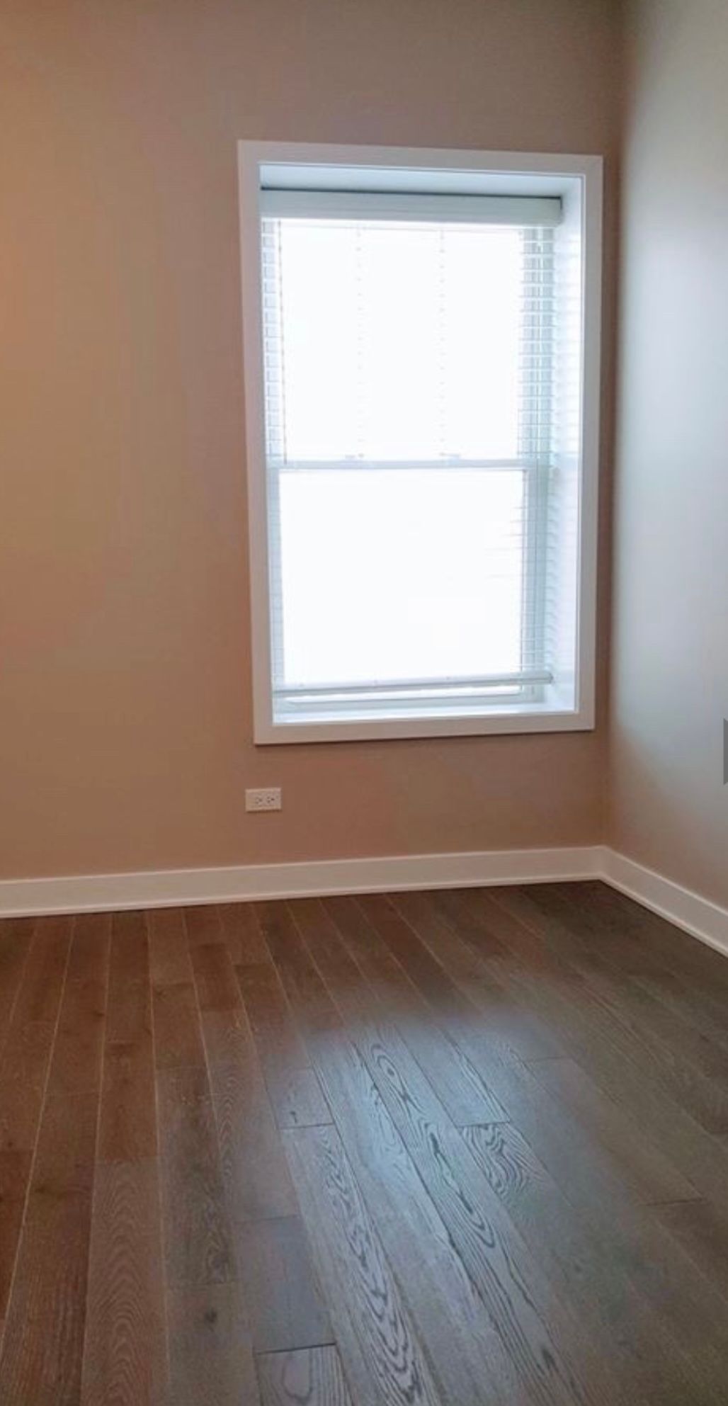 virginia north interior