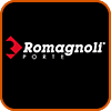 Romagnoli Porte logo