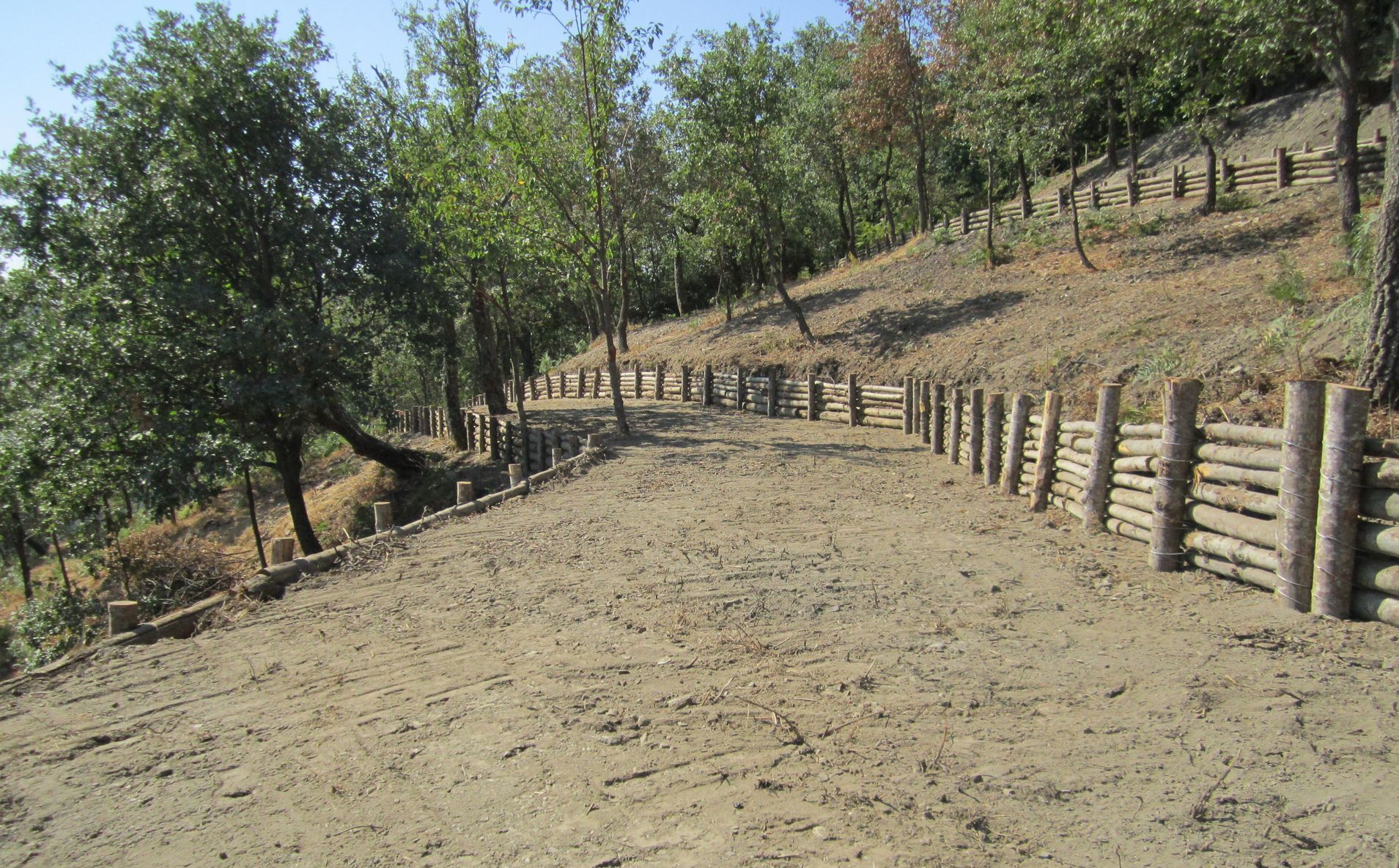 palizzate ingegneria naturalistica