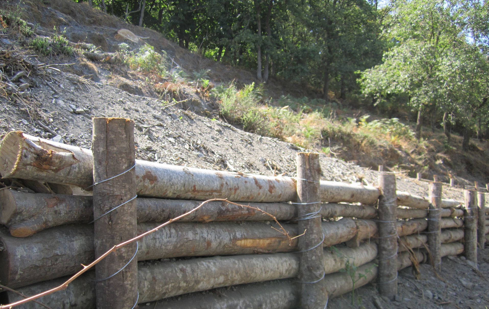 palizzate di contenimento per ingegneria naturalistica