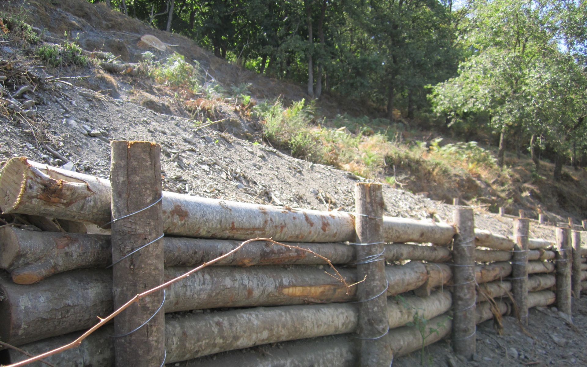 Ingegneria naturalistica