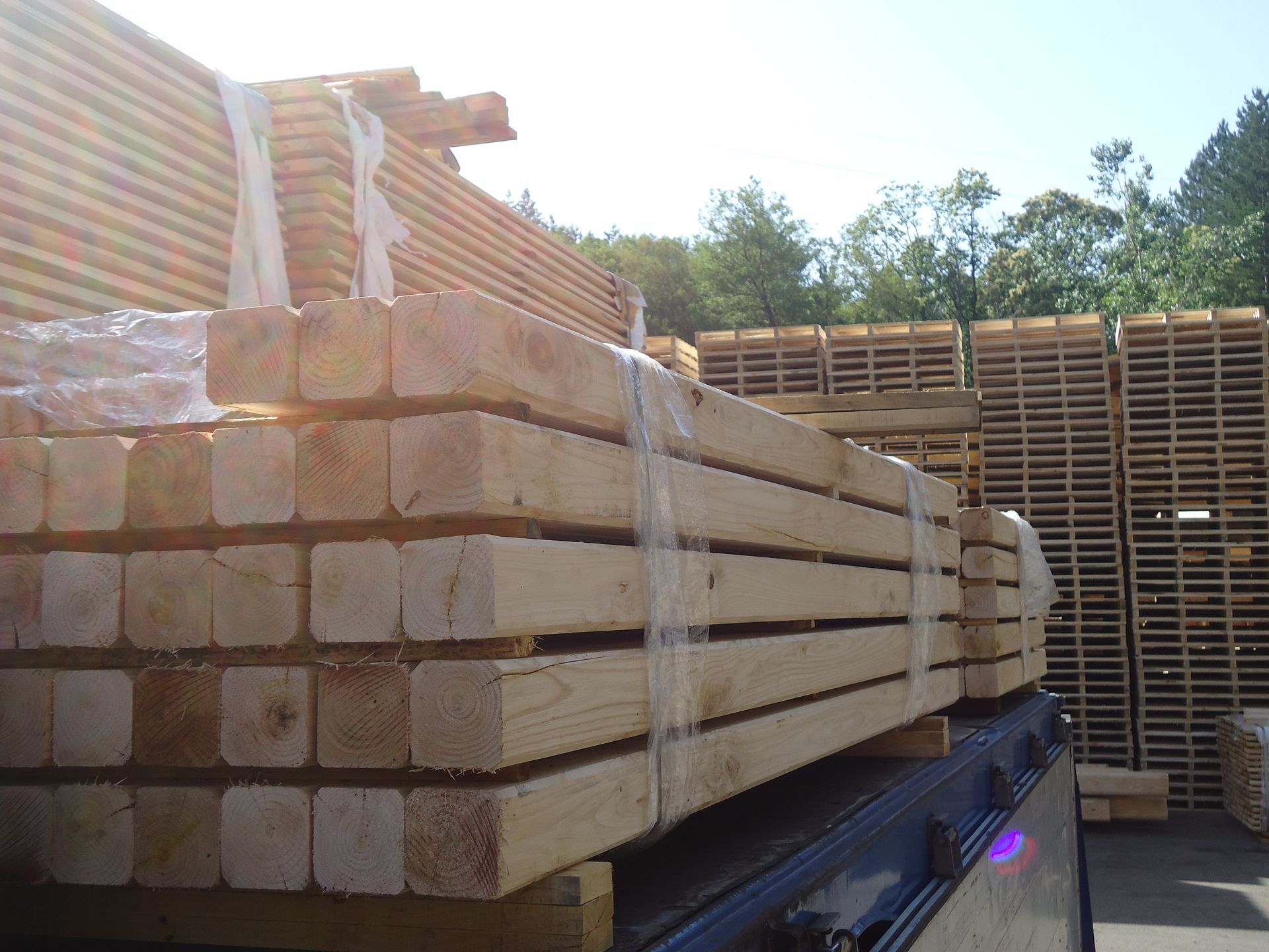 Travatura di castagno