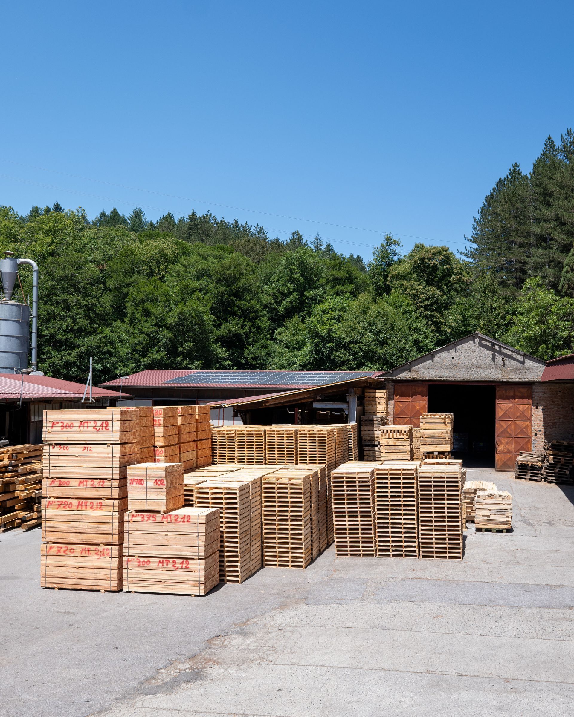 Pallet di legno accatastati fuori da un magazzino sotto un cielo azzurro, circondati da alberi.