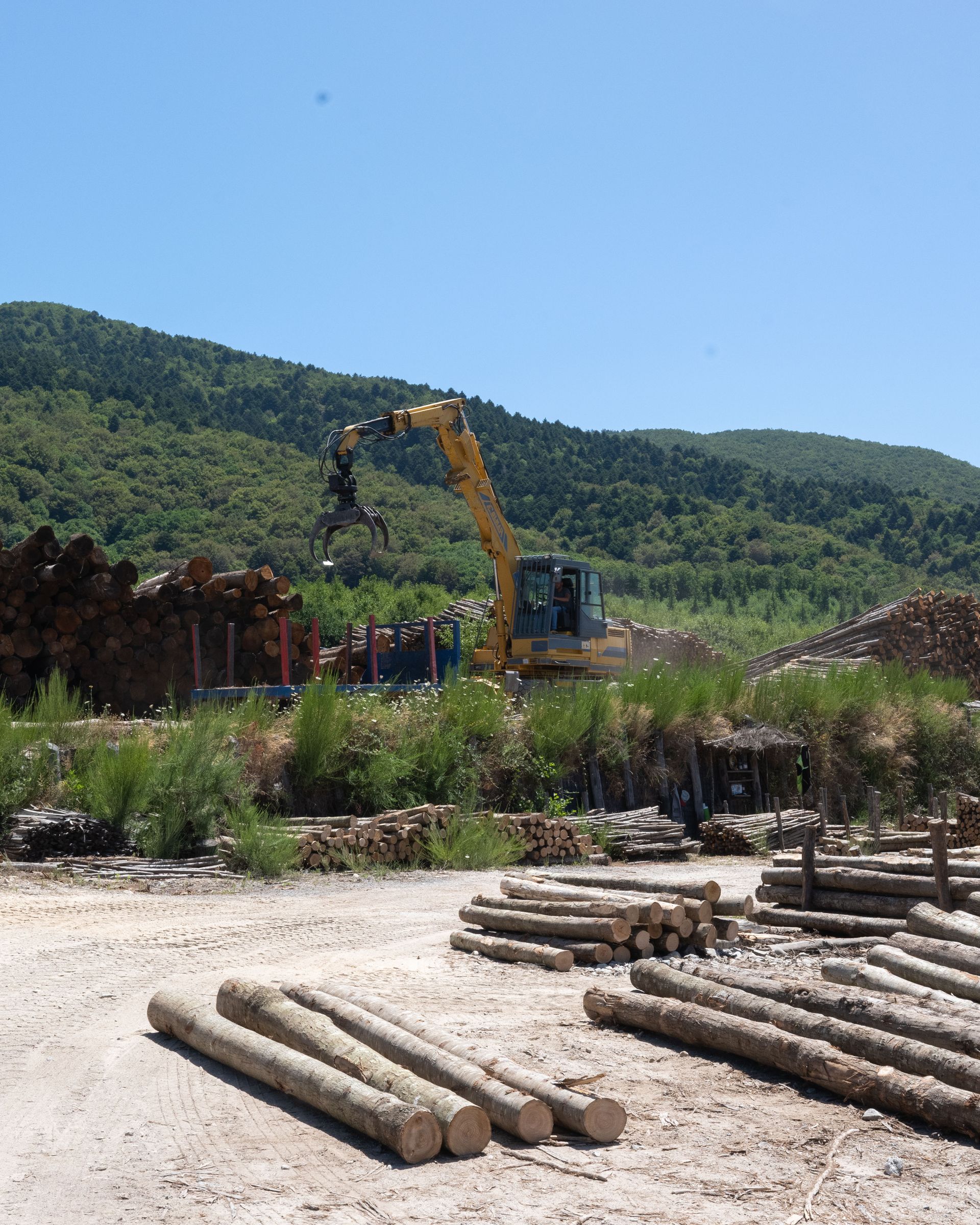 Tronchi in un deposito di legname con un escavatore che li sposta, collina verde sullo sfondo, giornata di sole.