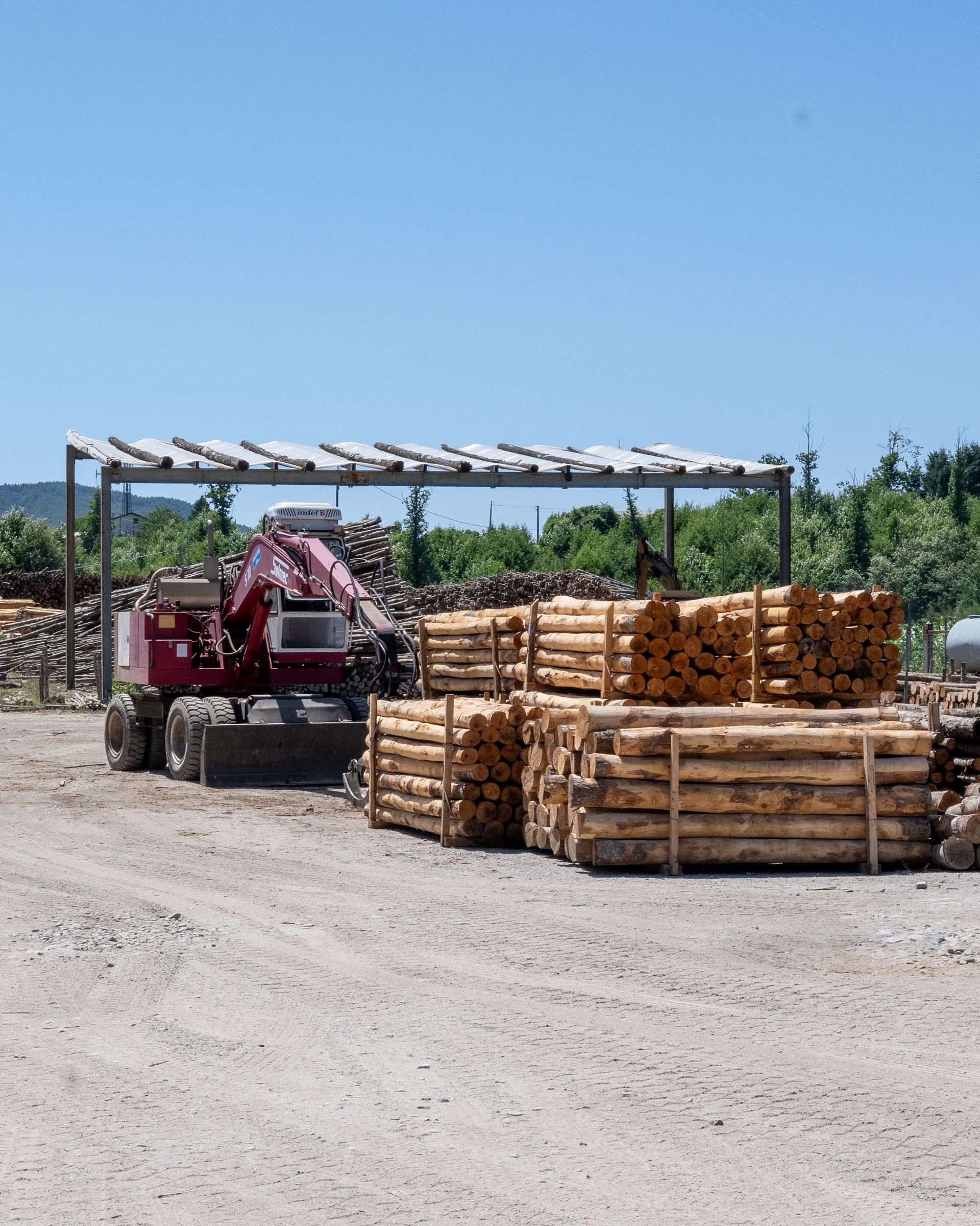 Una macchina industriale rossa sposta tronchi di legno in un deposito di legname all'aperto, sotto una tettoia.