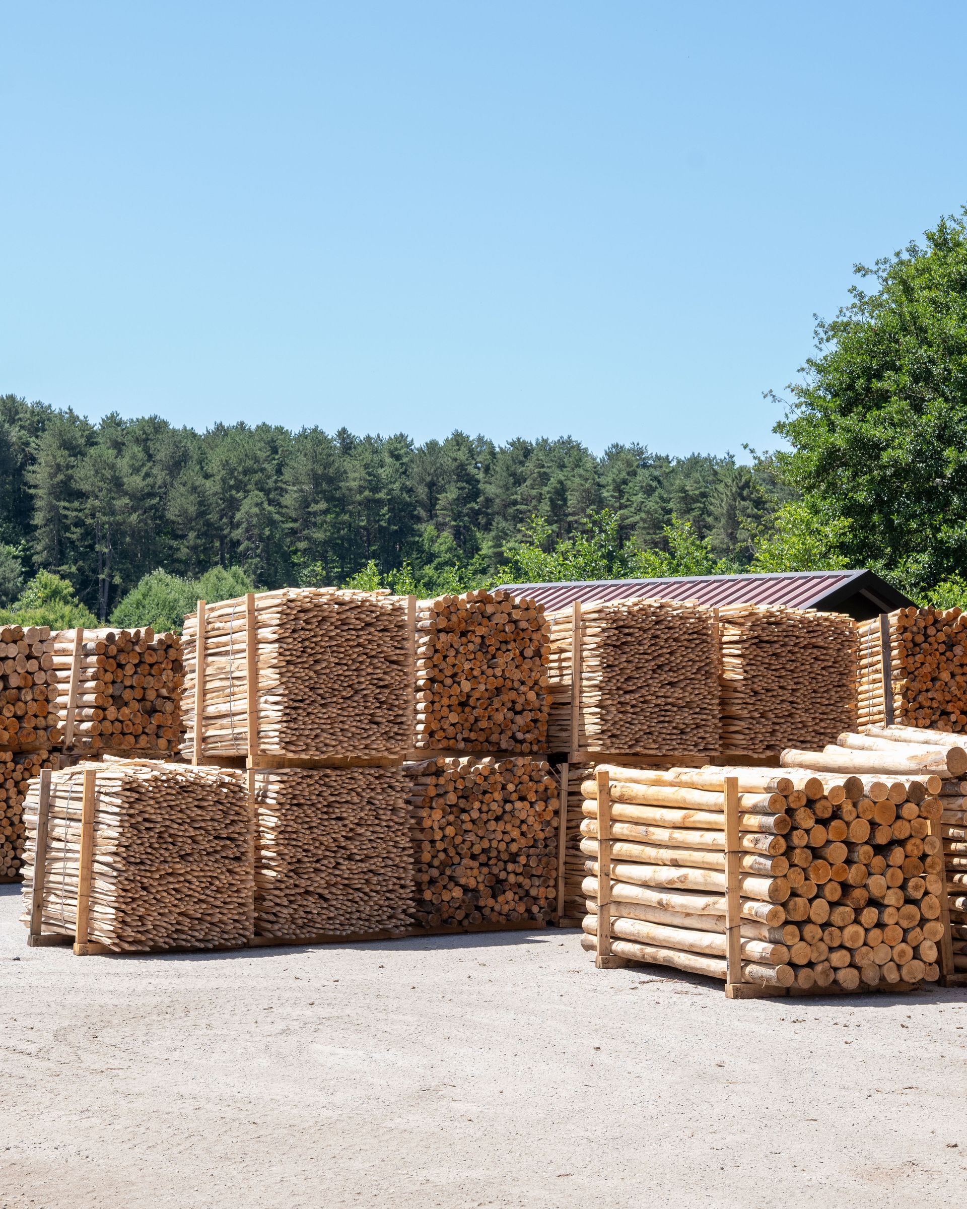 Cataste di legna da ardere ammassate all'aperto, sullo sfondo di una foresta sotto un cielo azzurro.