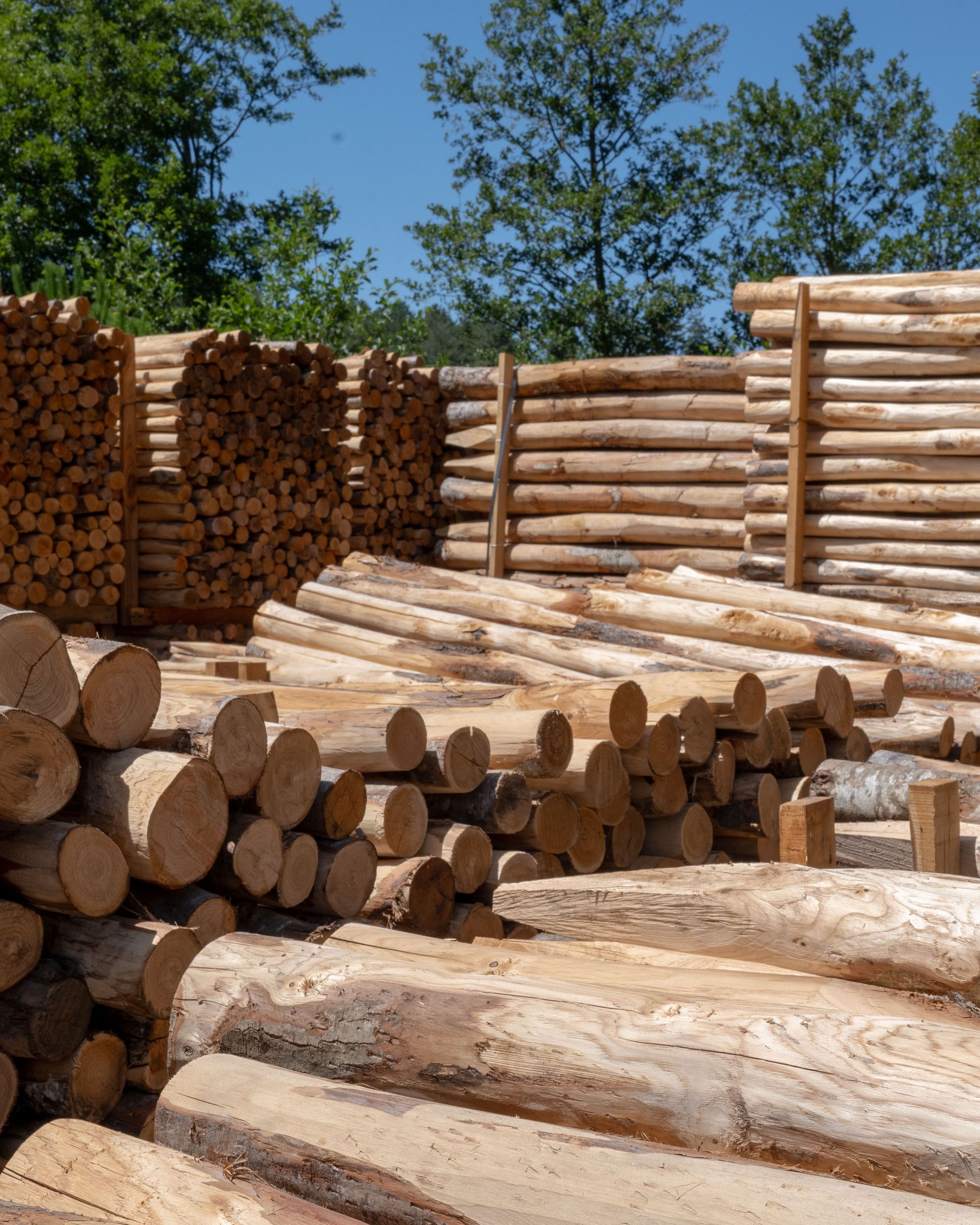 Catasta di tronchi appena tagliati, legna da ardere e recinzione in legno sotto un cielo azzurro.