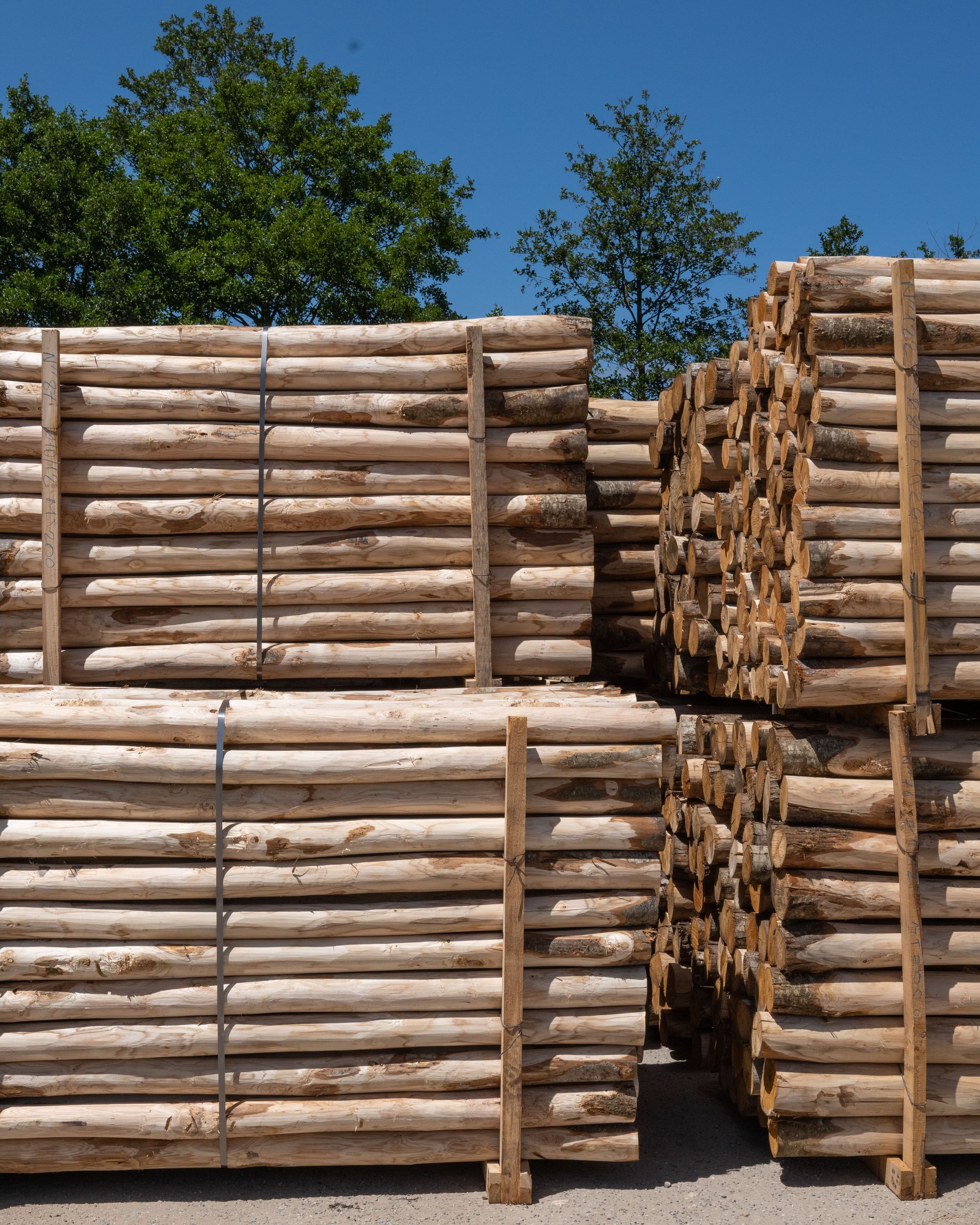 Pile di pali di recinzione in legno in un deposito di legname, accatastati su pallet, con uno sfondo di cielo azzurro.