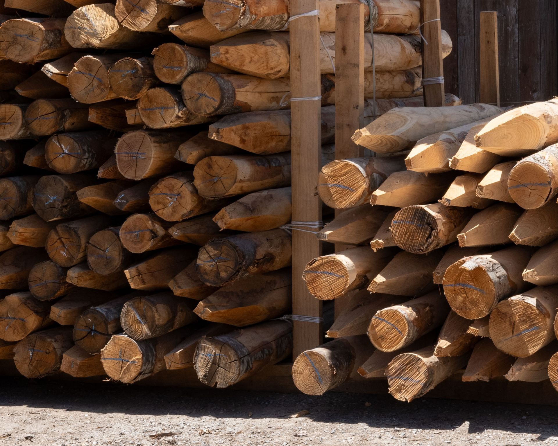Pile di pali di recinzione in legno, alcuni con estremità appuntite, accatastati per essere conservati o venduti.