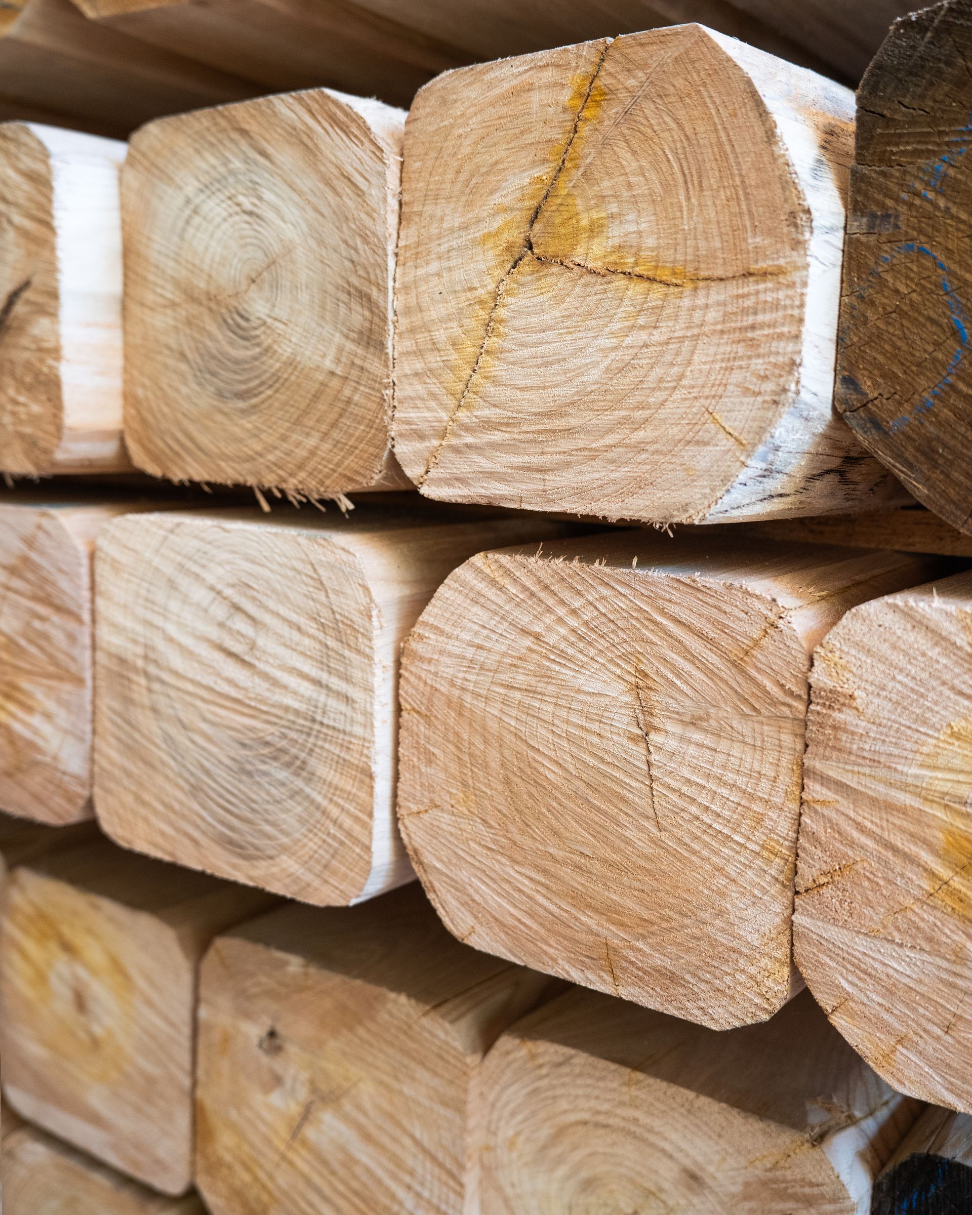 Pila di travi di legno squadrate, con venature di testa e colore marrone chiaro.