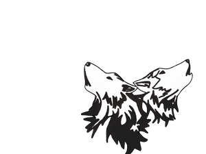 Two Wolf CrossFit Nambucca Heads Logo