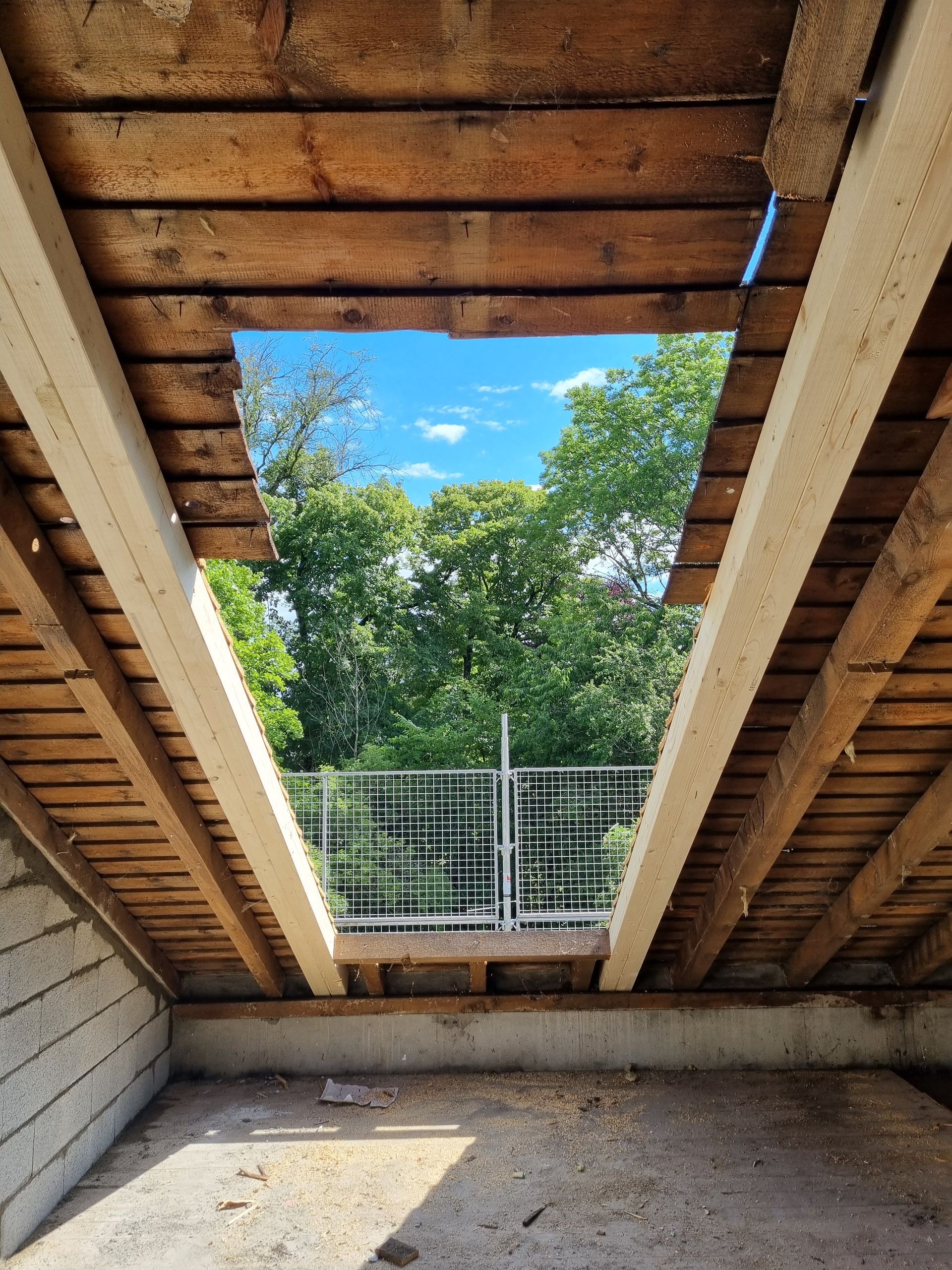 Un grenier inachevé avec une grande ouverture rectangulaire dans le toit laissant apparaître la canopée d'un arbre verdoyant et une rambarde métallique.