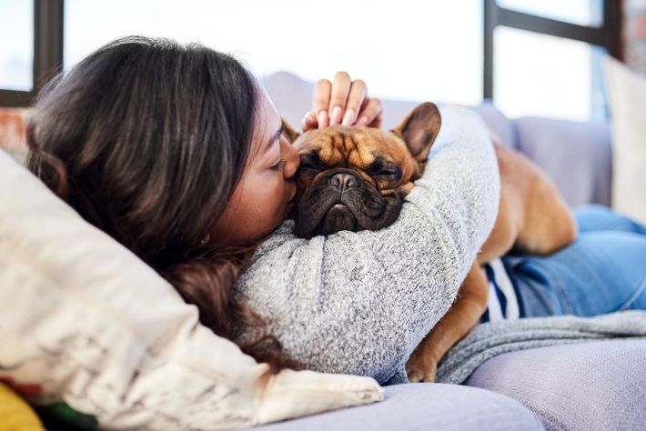 A woman is laying on a couch with her dog.