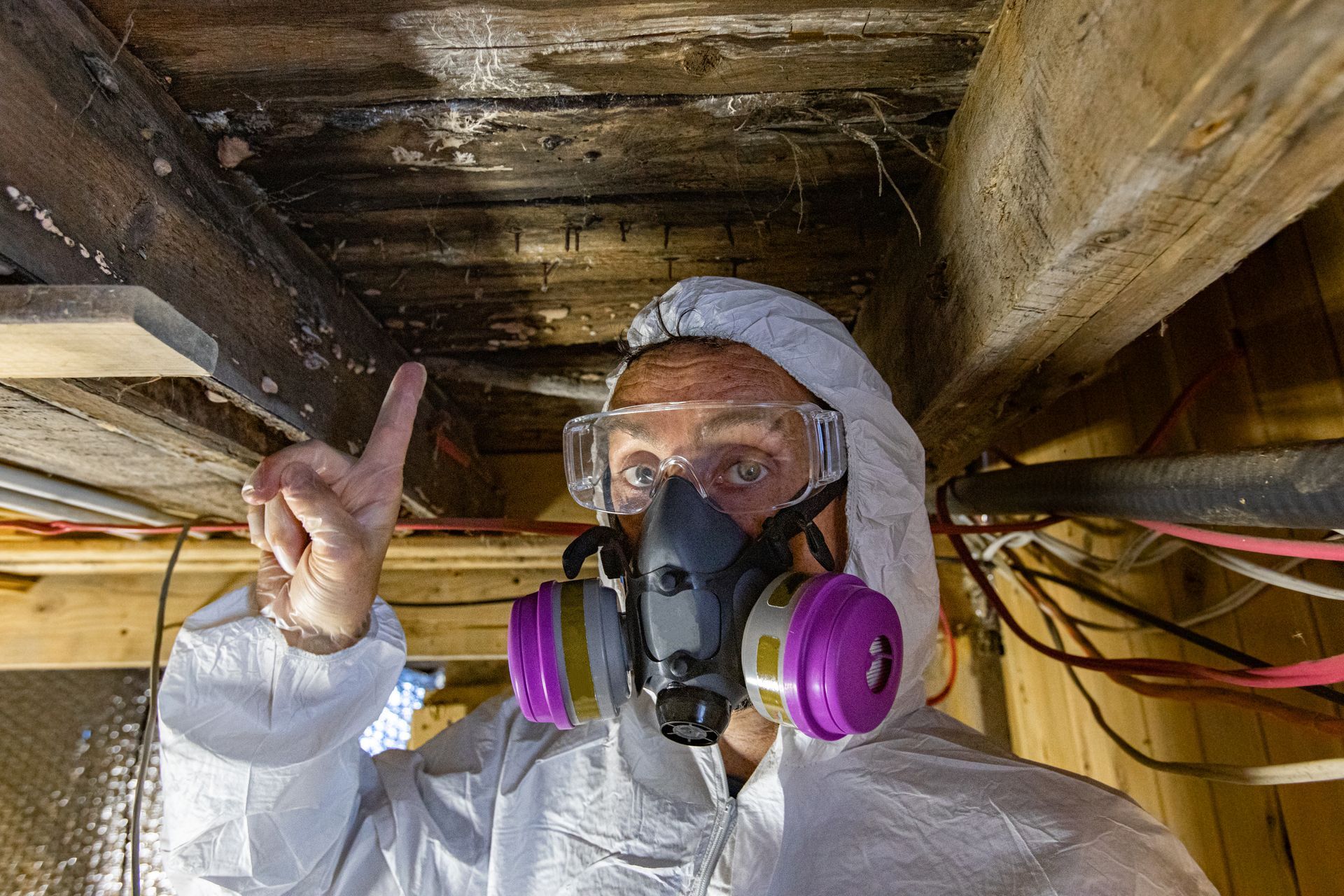 Person in protective gear pointing upward at moldy ceiling.