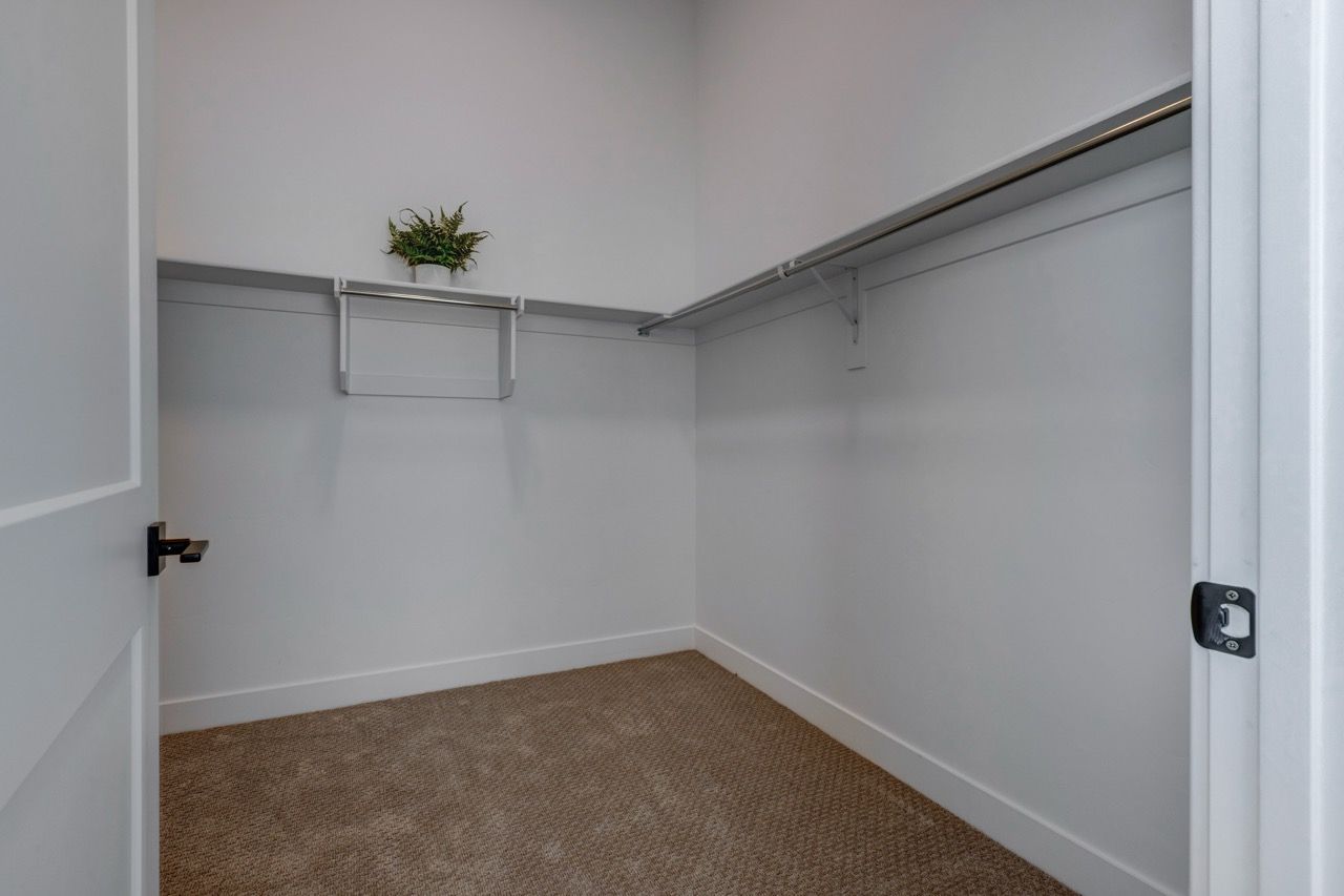 Aria Walk-in closet with a rod, shelf, plant accents, neutral walls, and beige carpet.