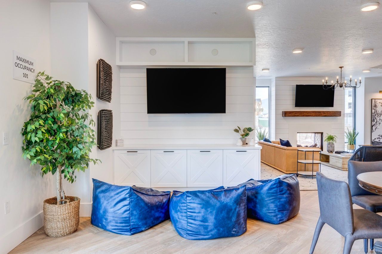 Aria lounge with mounted TV, white shiplap wall, fireplace, plants, and blue bean bags.