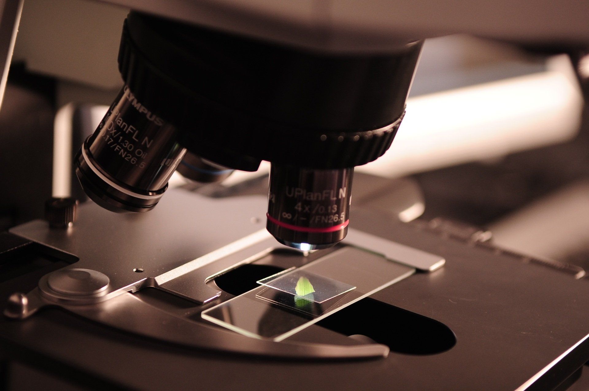 A close up of a microscope with a green object on a slide