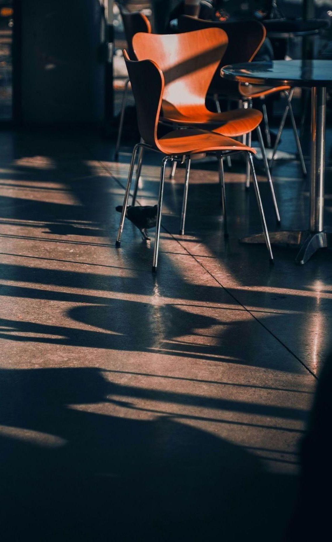 A row of chairs sitting next to each other on a tiled floor in a restaurant.