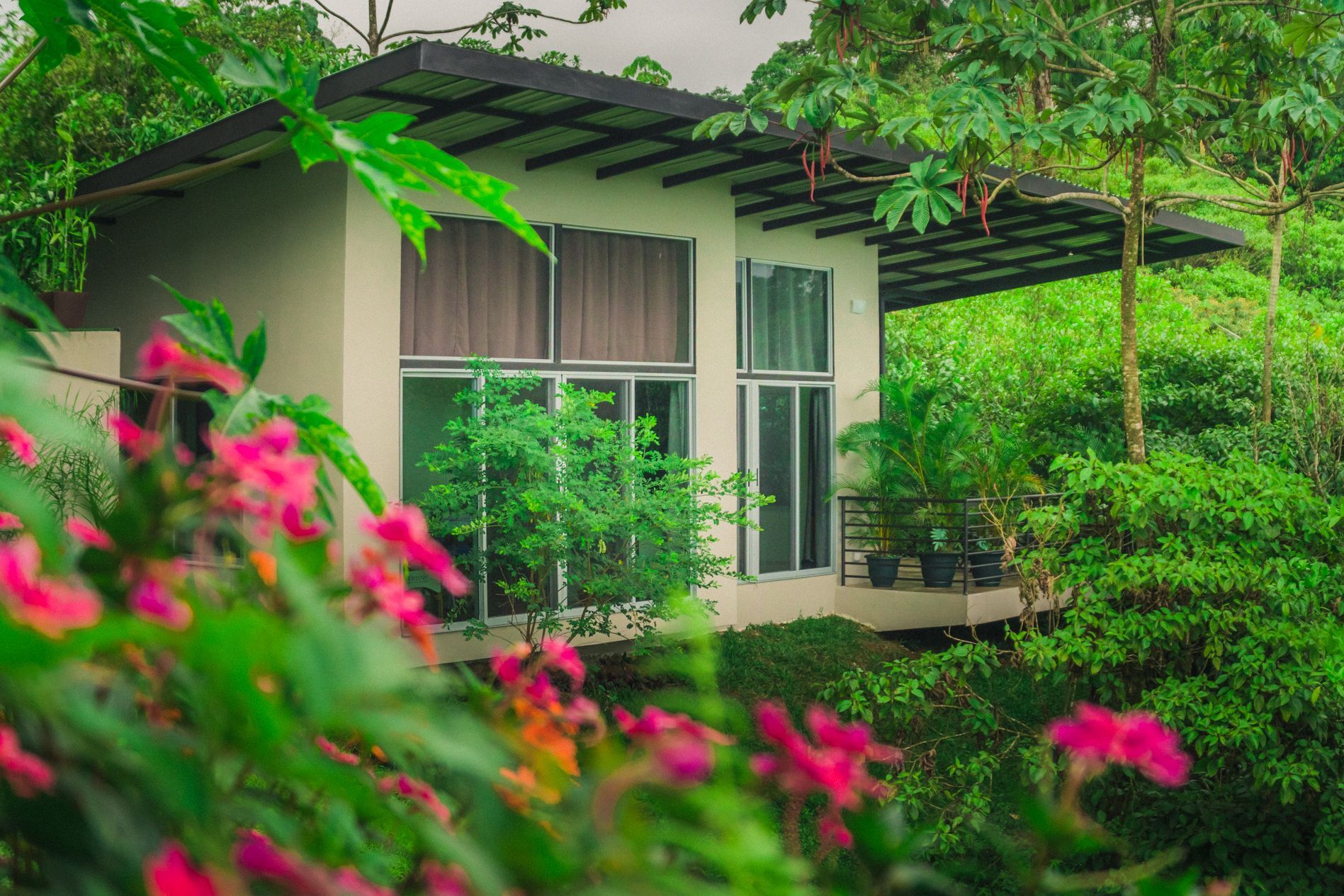 A small white house is surrounded by trees and flowers.
