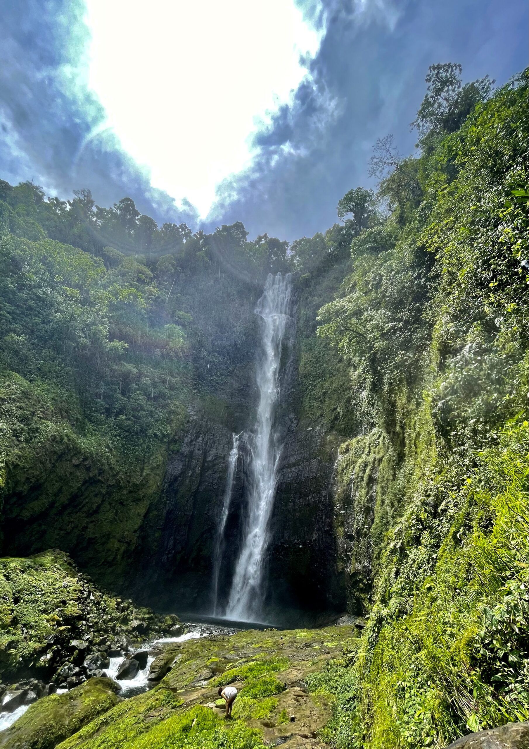 A waterfall in the middle of a forest on a sunny day