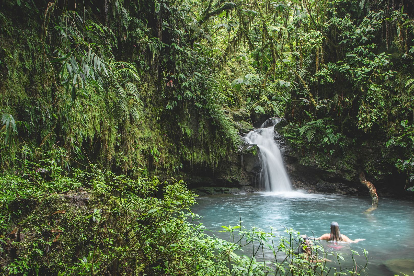 A man is swimming in a pool next to a waterfall in the jungle.