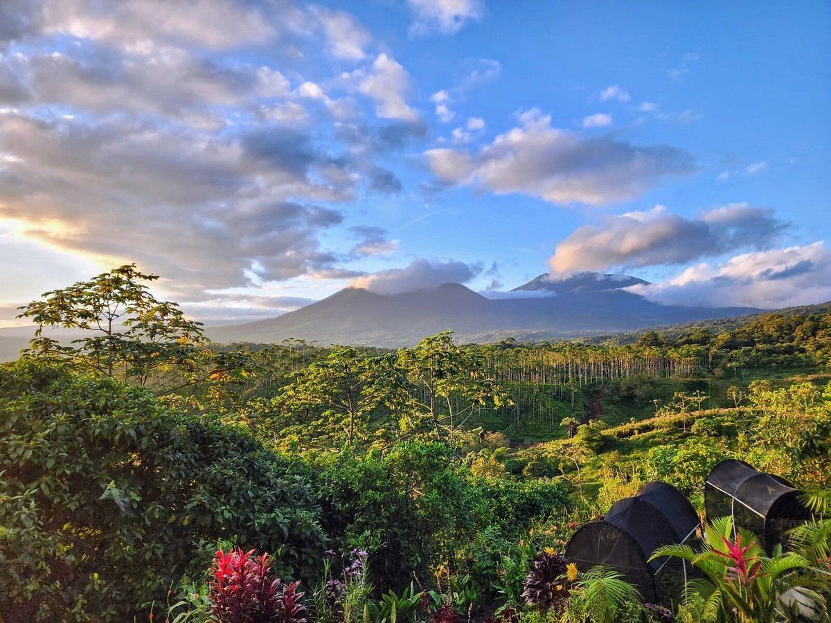 A bedroom with a large bed , a lamp , a table and chairs.