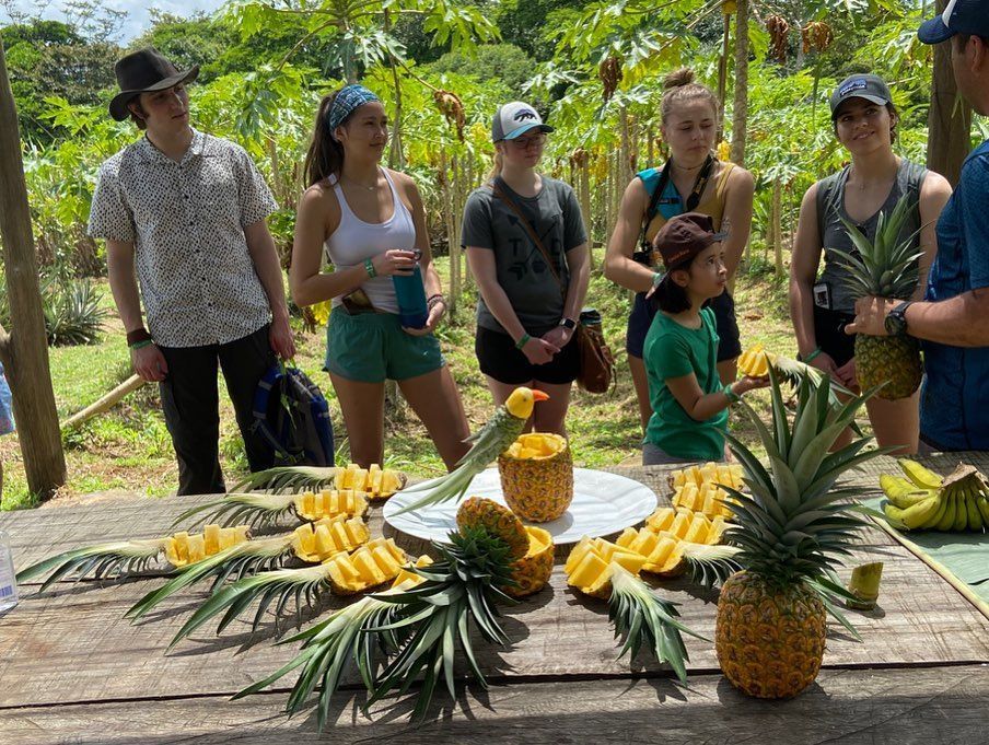 Two rocking chairs are sitting on a balcony overlooking mountains