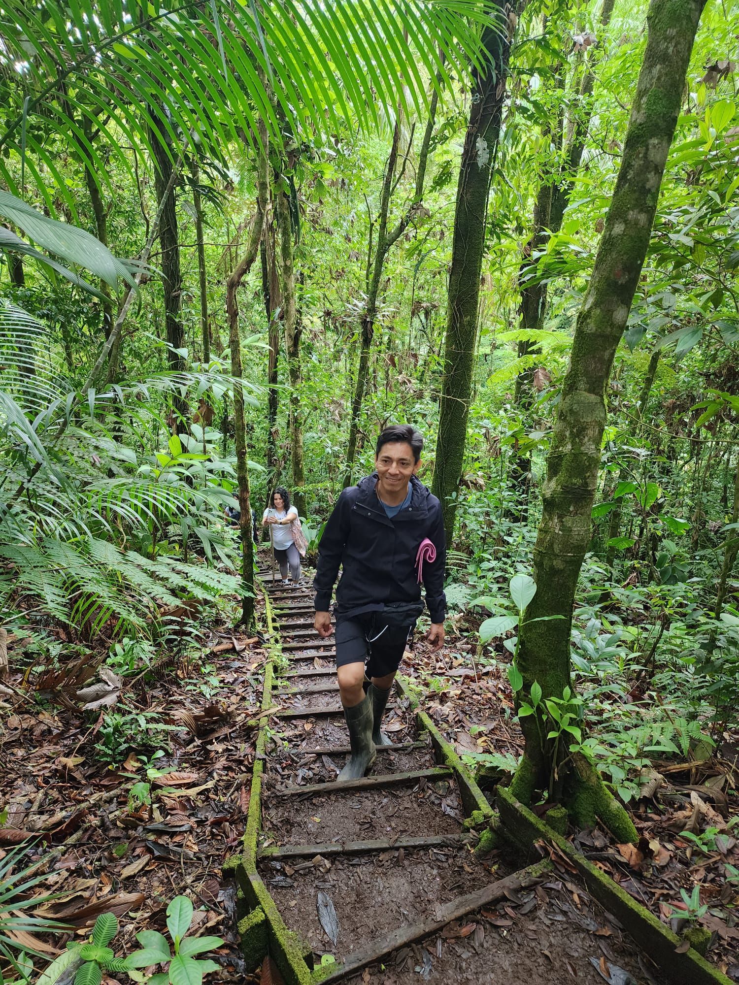 A man is walking up a set of wooden stairs in the jungle.