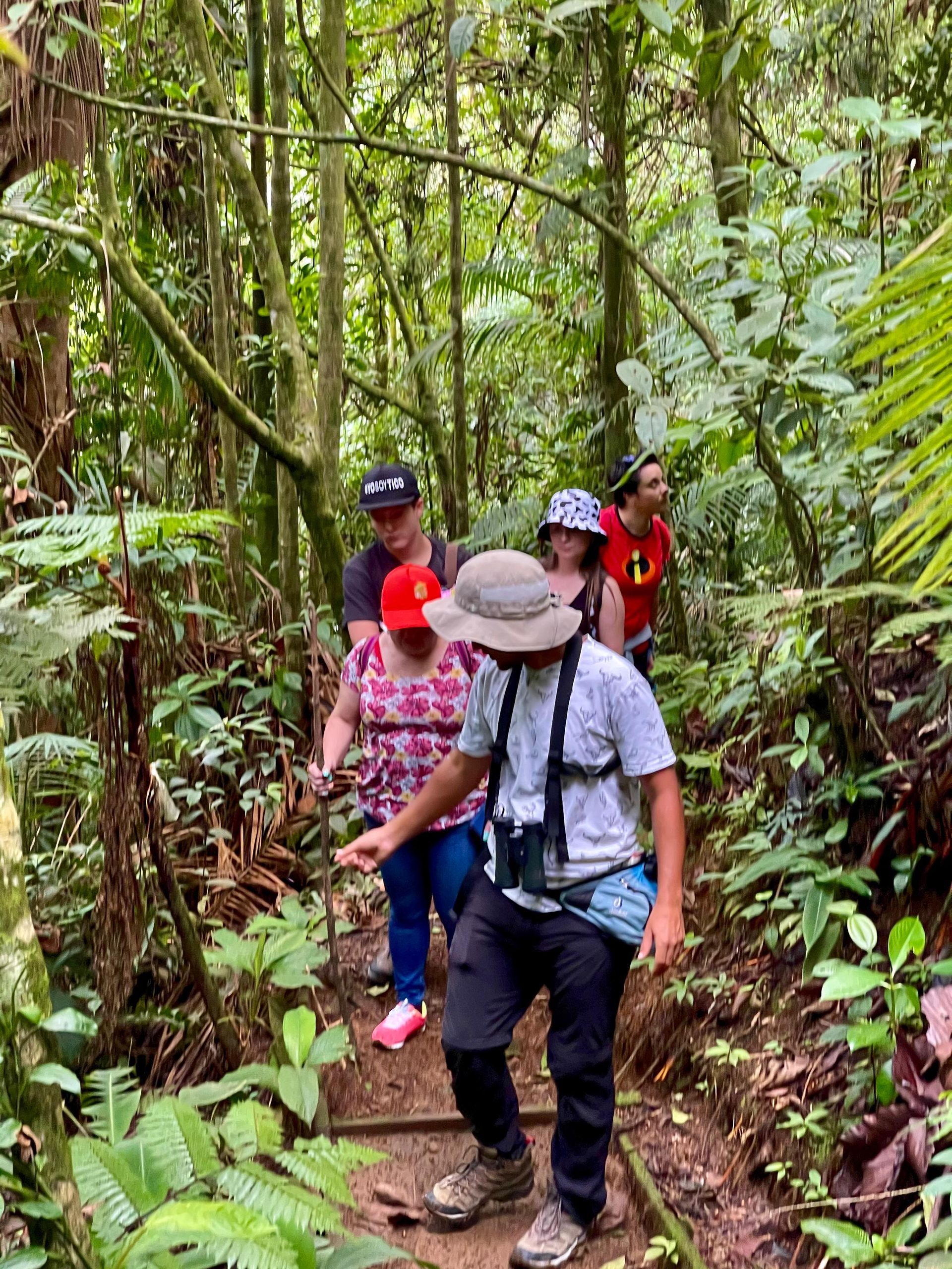 A group of people are walking through a lush green forest.