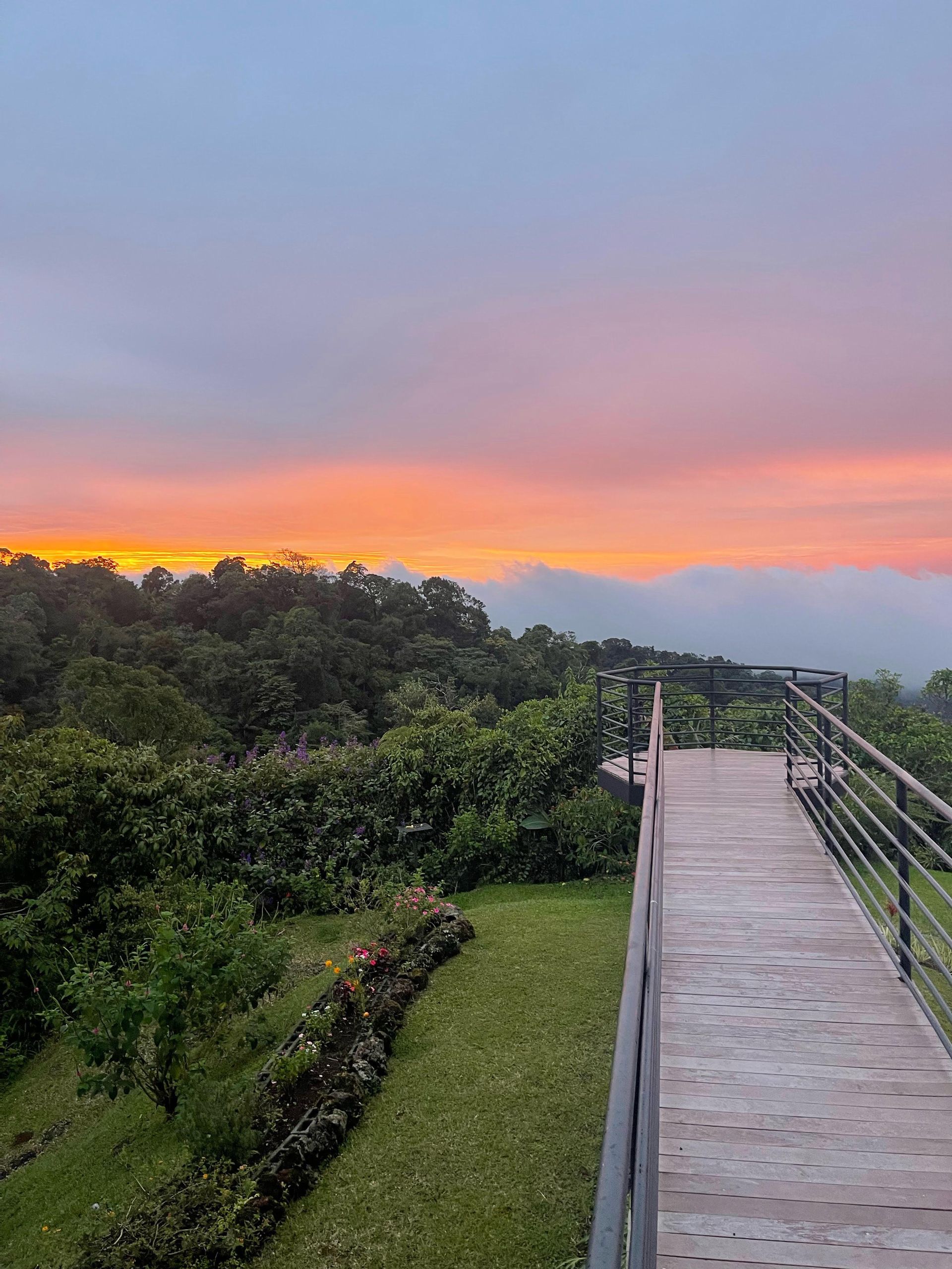 A wooden walkway leading to a sunset over a forest.