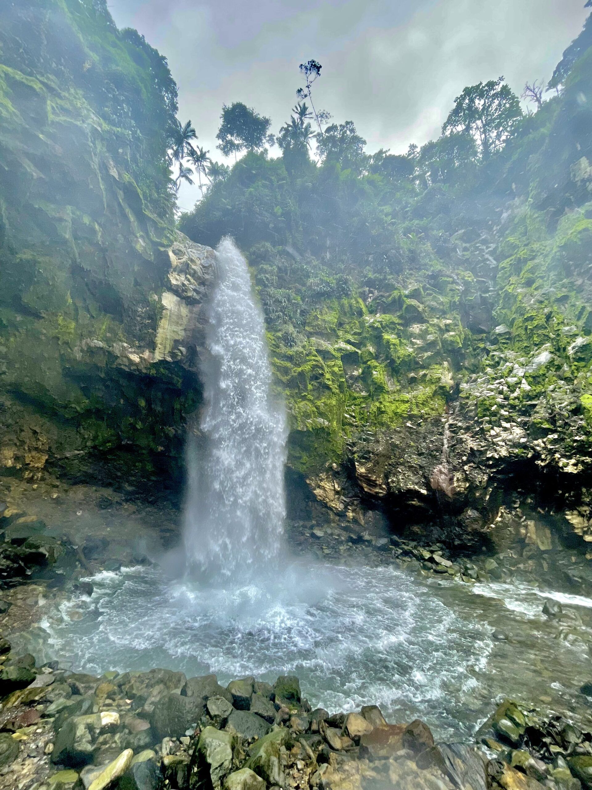 A waterfall is surrounded by trees and rocks in the middle of a forest.