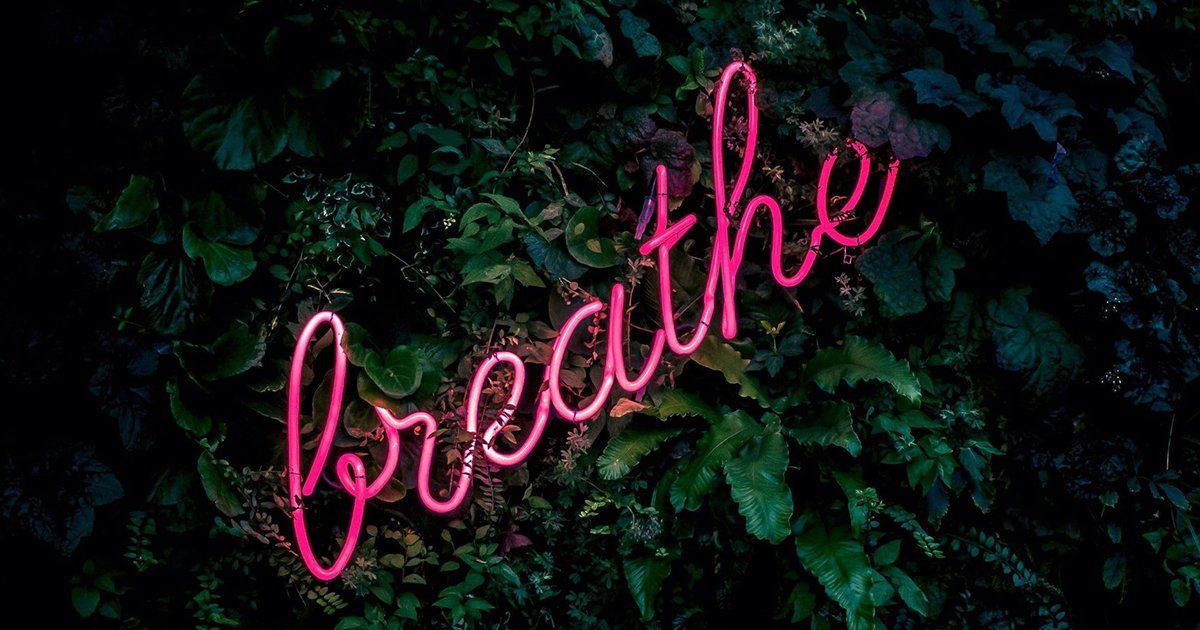 A neon sign that says `` breathe '' is hanging on a tree.