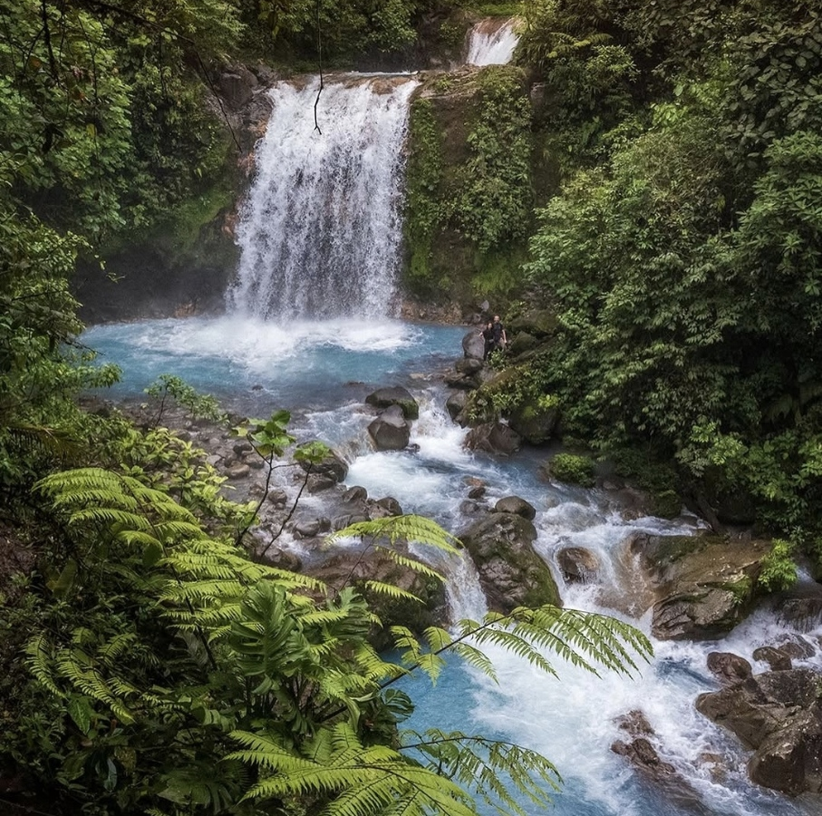 A man is swimming in a pool next to a waterfall in the jungle.
