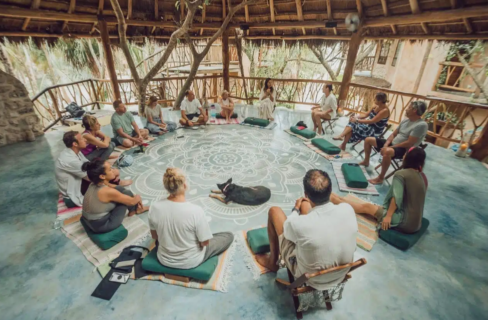A blue butterfly is sitting on a branch in the woods.