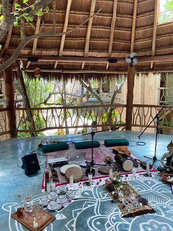 A man is swimming in a pool next to a waterfall in the jungle.