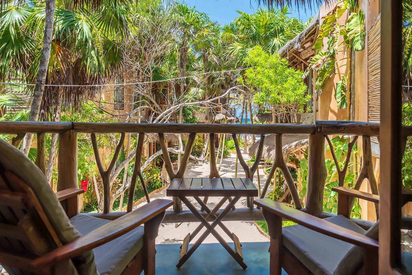 A wooden bench is sitting in a field of flowers at sunset.