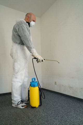 Mold Removal Specialist — New York — Safe and Sound Property Services