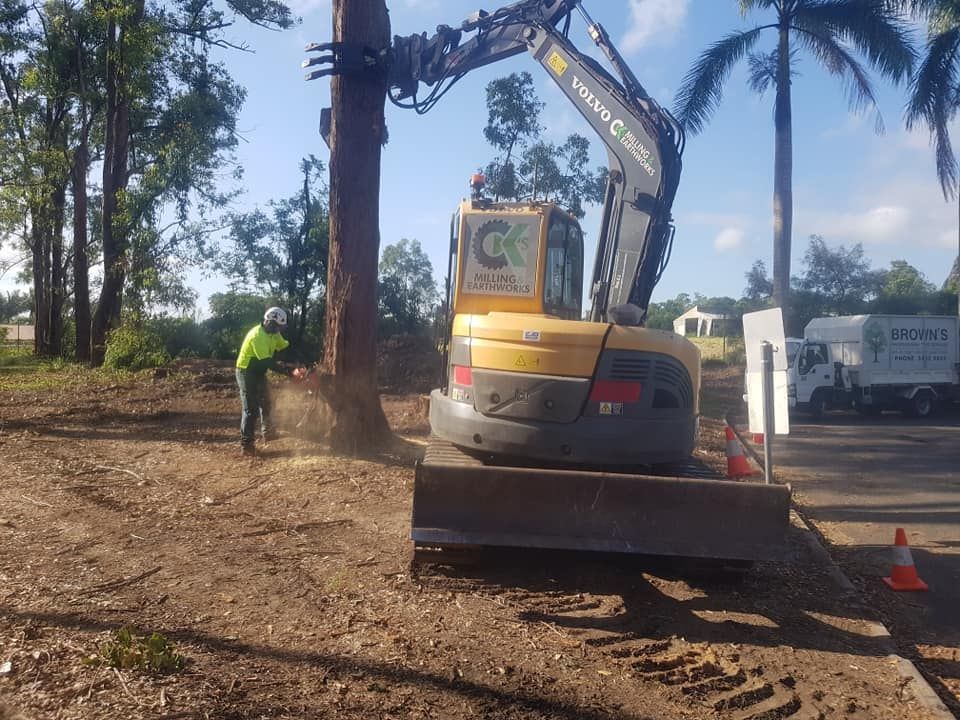 Excavator and Worker Cutting Down a Tree — Brown's Professional Tree Service in Pie Creek, QLD