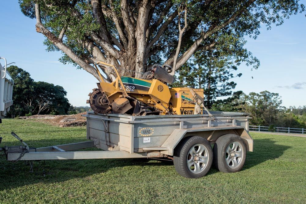 Yellow Stump Grinder on a Trailer, Parked in a Grassy Field — Brown's Professional Tree Service in Tin Can Bay, QLD