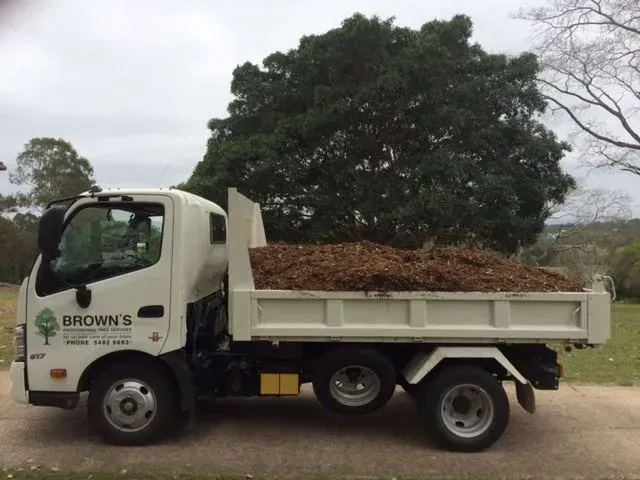 White Truck Filled With Mulch — Brown's Professional Tree Service in Traveston, QLD
