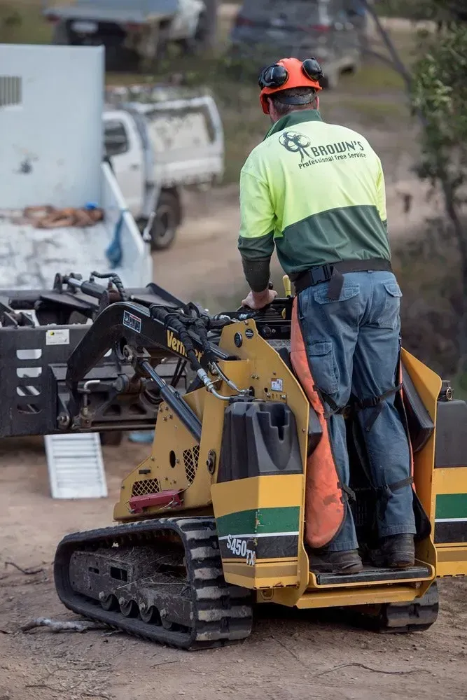 Man Operating a Yellow and Black Mini Skid Steer Outdoors — Brown's Professional Tree Service In Pie Creek, QLD