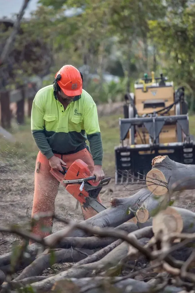 Man in Orange Safety Gear Using Chainsaw on Fallen Logs Outdoors — Brown's Professional Tree Service In Pie Creek, QLD