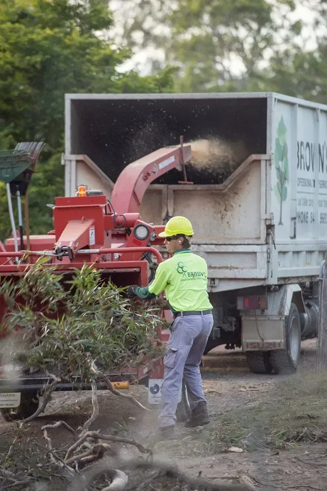 Worker in Safety Gear Feeding Branches Into a Wood Chipper — Brown's Professional Tree Service In Pie Creek, QLD