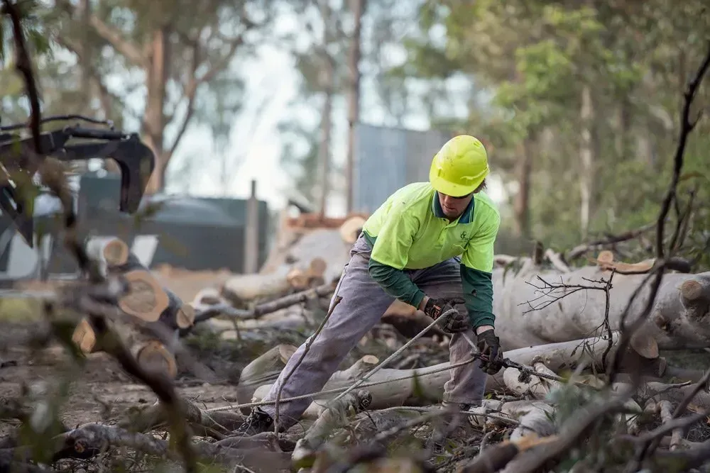 Worker in A Yellow Hard Hat and Green Shirt Is Working with Logs in A Wooded Area — Brown's Professional Tree Service In Pie Creek, QLD